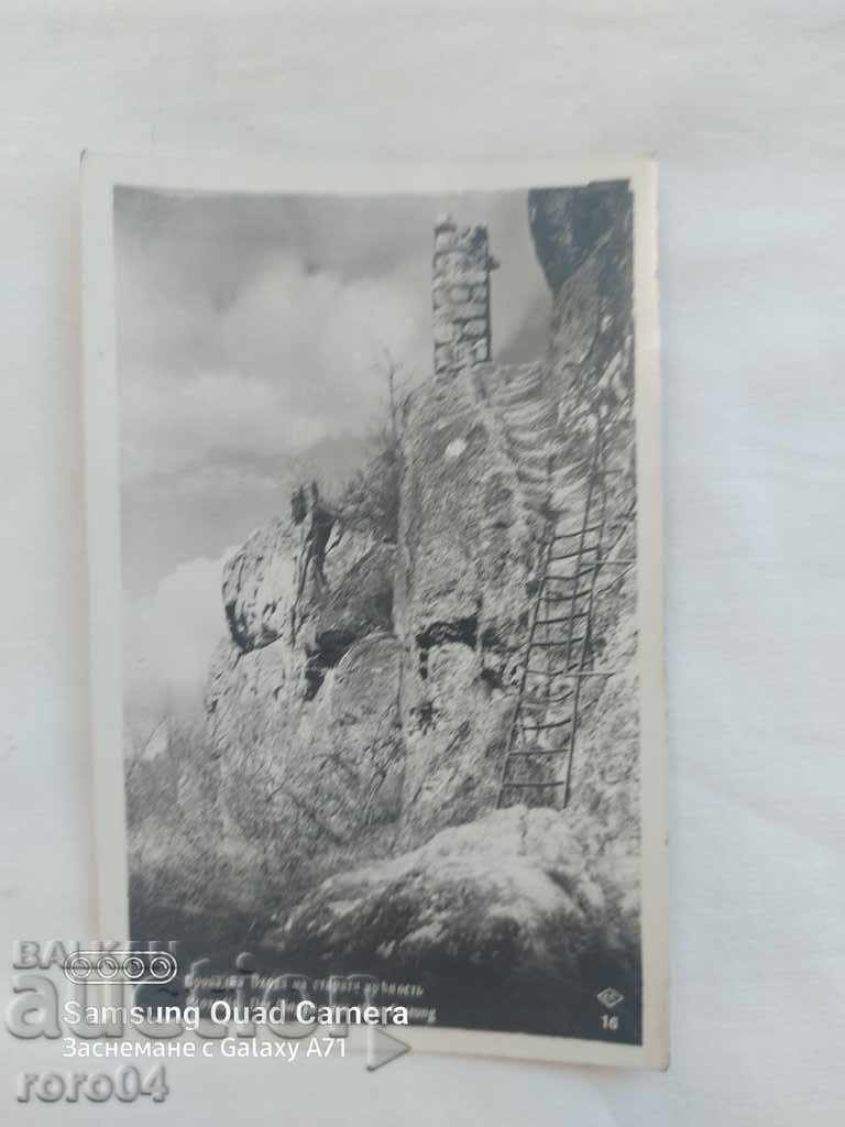 PROVADIA - 7 PROVADIA - 7