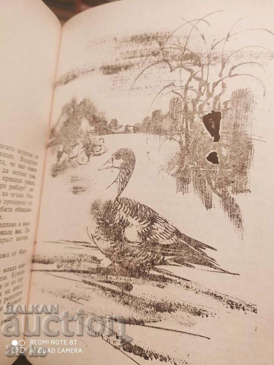 Delivery of Hunting stories, illustrations Delivery of Hunting stories, illustrations