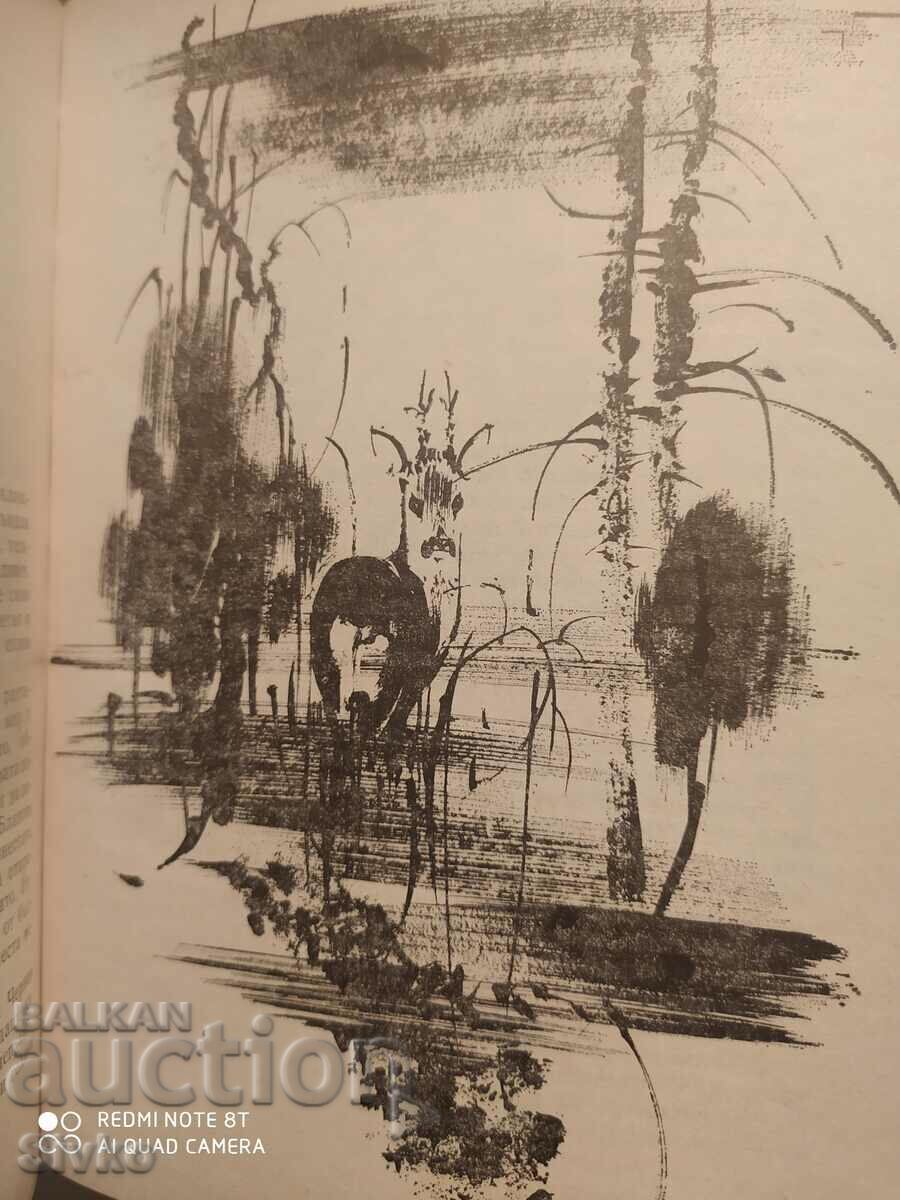 Hunting stories, illustrations - 6 Hunting stories, illustrations - 6