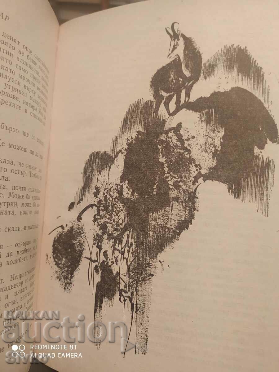 Hunting stories, illustrations - 7 Hunting stories, illustrations - 7