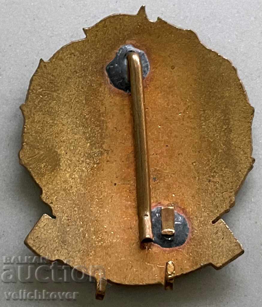 31384 Hungary sign Parachutist Instructor email 50s with price 100.00 BGN | € 51.13 31384 Hungary sign Parachutist Instructor email 50s with price 100.00 BGN | € 51.13