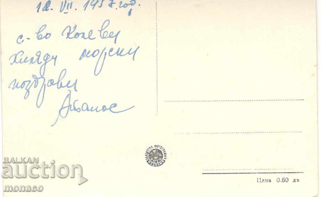 Old postcard - Varna, the ice rink with price 2.50 BGN | € 1.28 Old postcard - Varna, the ice rink with price 2.50 BGN | € 1.28