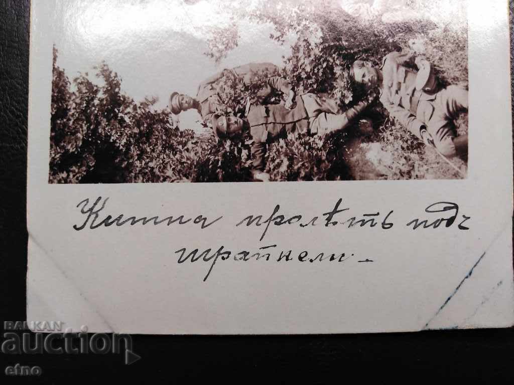 Delivery of ROYAL PHOTO-PSV, SERES, 10th Company, 85th Regiment, OFFICERS, front Delivery of ROYAL PHOTO-PSV, SERES, 10th Company, 85th Regiment, OFFICERS, front