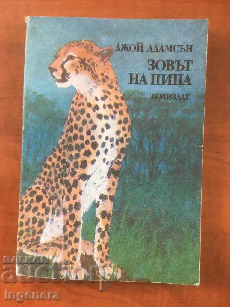CARTE-JOY ADAMSON-CHEMAREA PIPA-1981 CARTE-JOY ADAMSON-CHEMAREA PIPA-1981