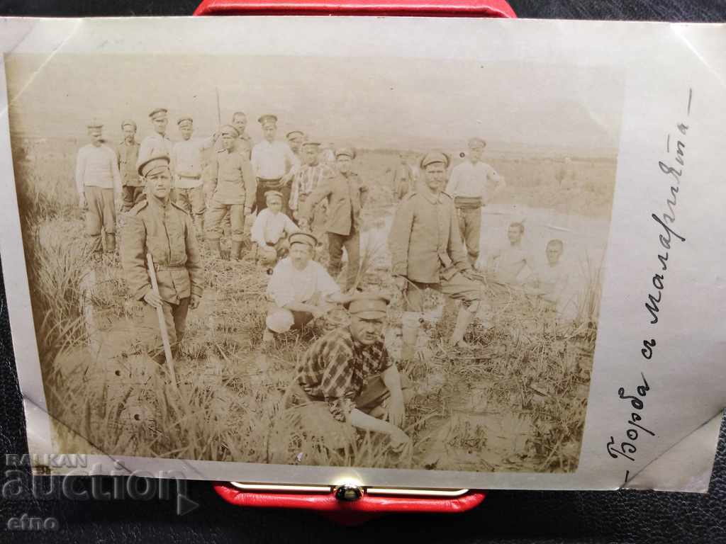 ROYAL PHOTO-PSV, 85th Regiment, Fight against malaria, front