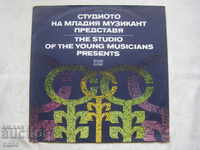 VKA 11961 - Studioul tânărului muzician prezintă