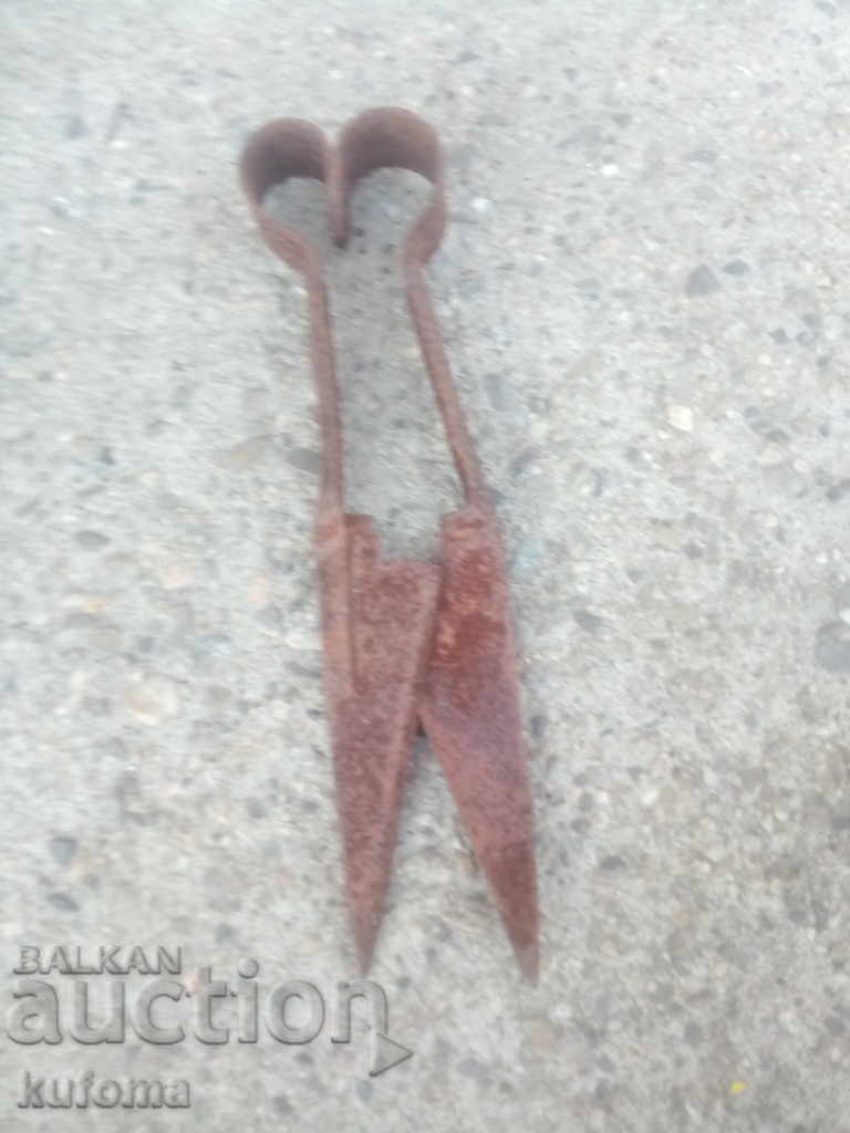 Sheep shearing shears with price 4.99 BGN | € 2.55 Sheep shearing shears with price 4.99 BGN | € 2.55