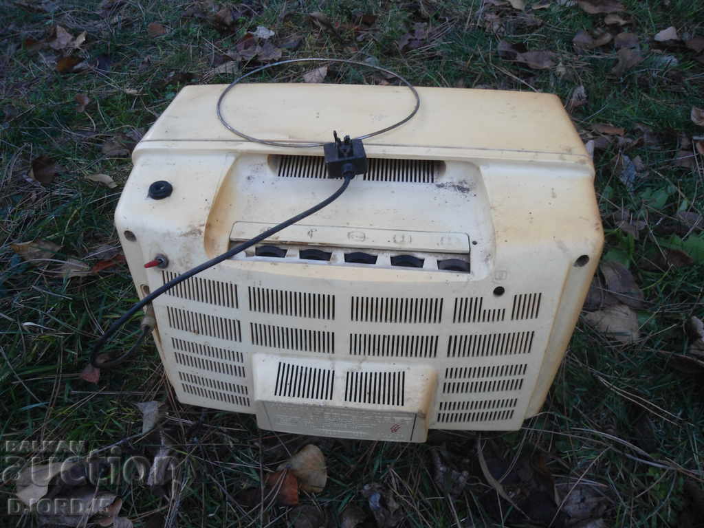 Auction  TV "Youth", parts, scrap.