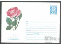 1979 P 1565 - Flowers - Rose