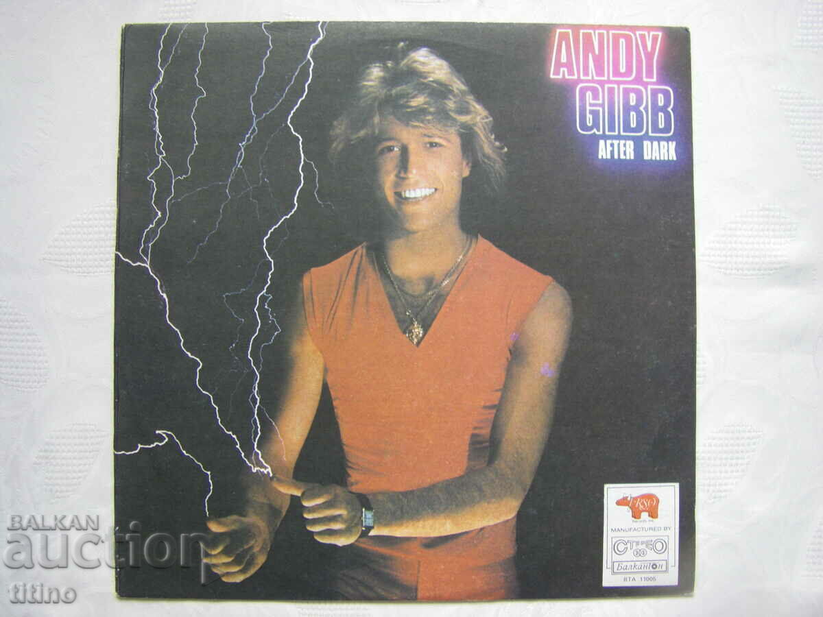 WTA 11005 - Andy Gibb. After Dark