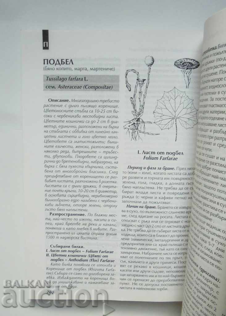 Δημοπρασία Συλλογή βοτάνων - I. Assenov και άλλοι. 1998 Δημοπρασία Συλλογή βοτάνων - I. Assenov και άλλοι. 1998