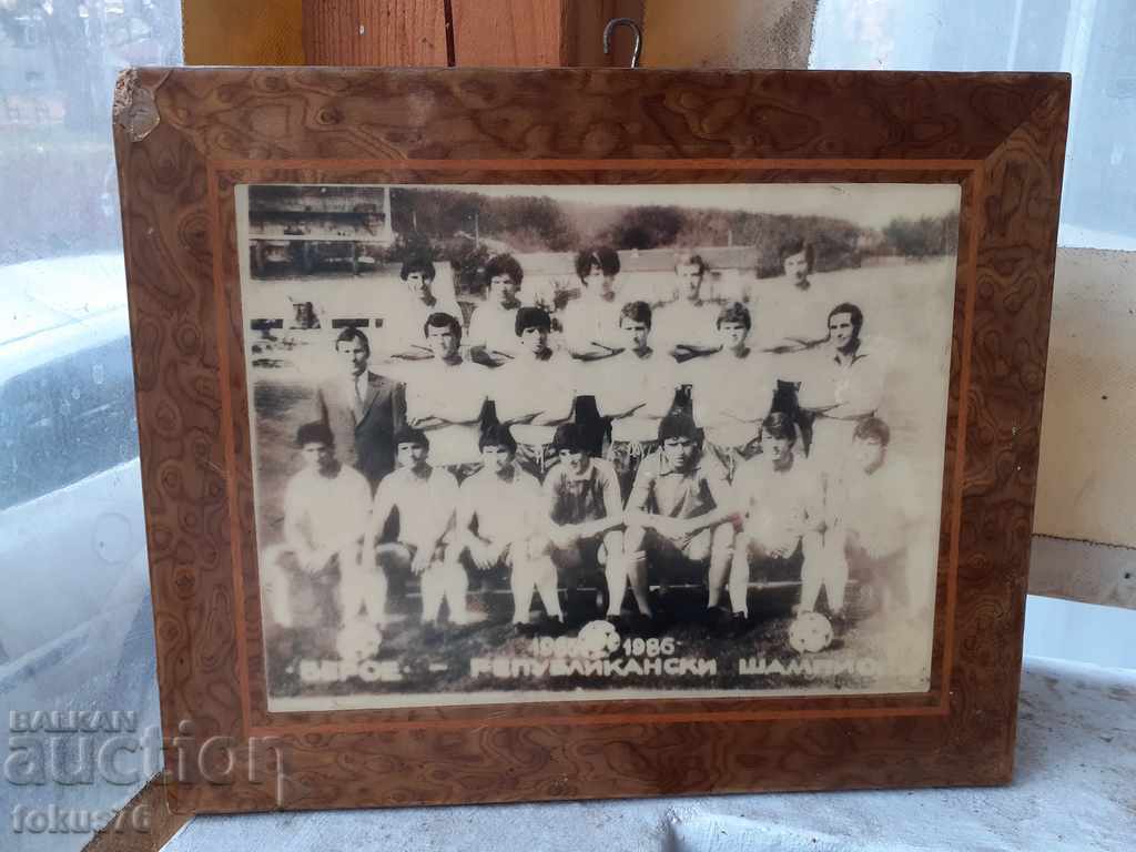 Delivery of BEROE CHAMPION laminated photo picture UNIQUE Delivery of BEROE CHAMPION laminated photo picture UNIQUE