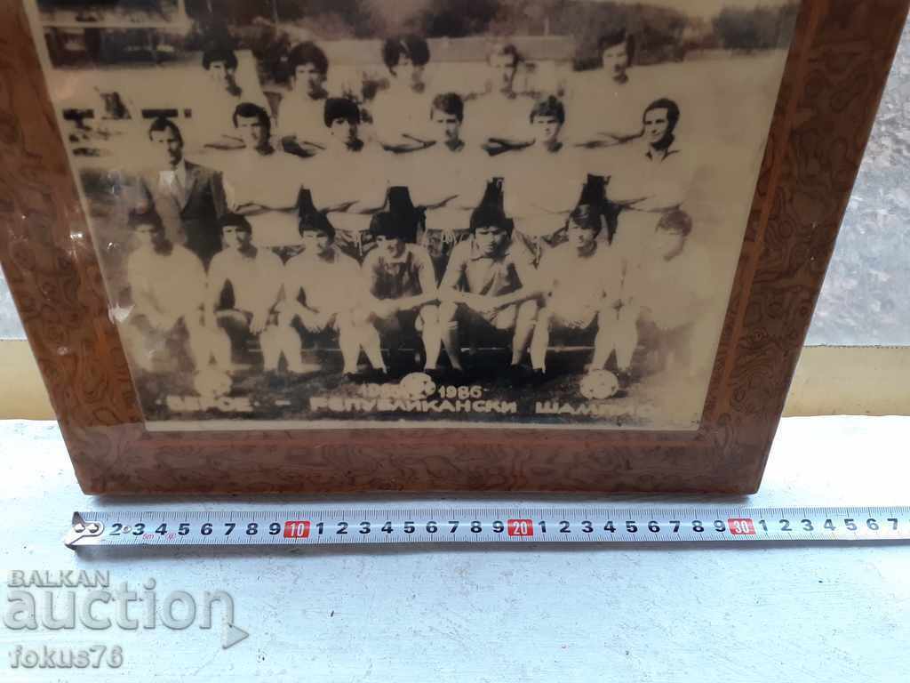 BEROE CHAMPION laminated photo picture UNIQUE - 5 BEROE CHAMPION laminated photo picture UNIQUE - 5