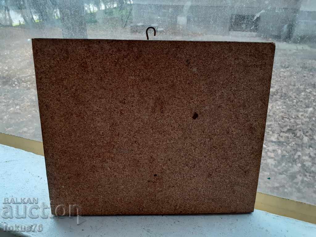 BEROE CHAMPION laminated photo picture UNIQUE - 6 BEROE CHAMPION laminated photo picture UNIQUE - 6