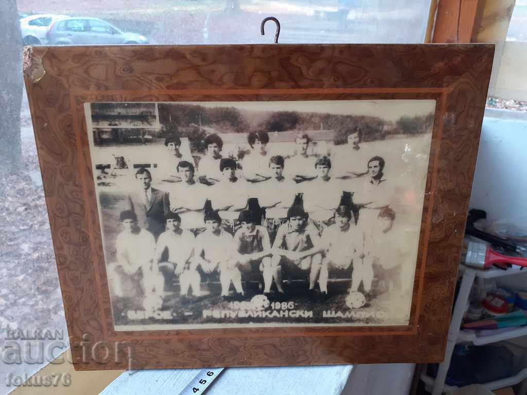 BEROE CHAMPION laminated photo picture UNIQUE - 7 BEROE CHAMPION laminated photo picture UNIQUE - 7