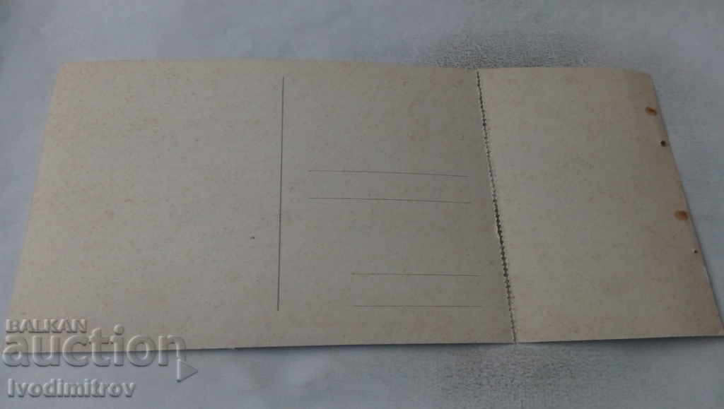 Postcard Falconry with price 0.45 BGN | € 0.23 Postcard Falconry with price 0.45 BGN | € 0.23