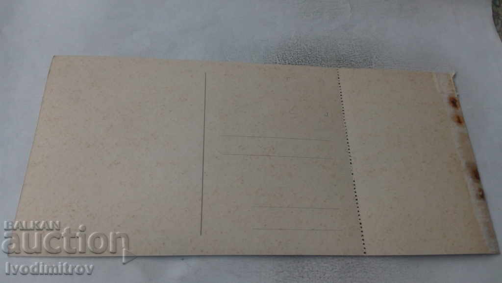 PK Tivadar Chontvari Bone Kite that attacked the bullfinch with price 0.45 BGN | € 0.23 PK Tivadar Chontvari Bone Kite that attacked the bullfinch with price 0.45 BGN | € 0.23