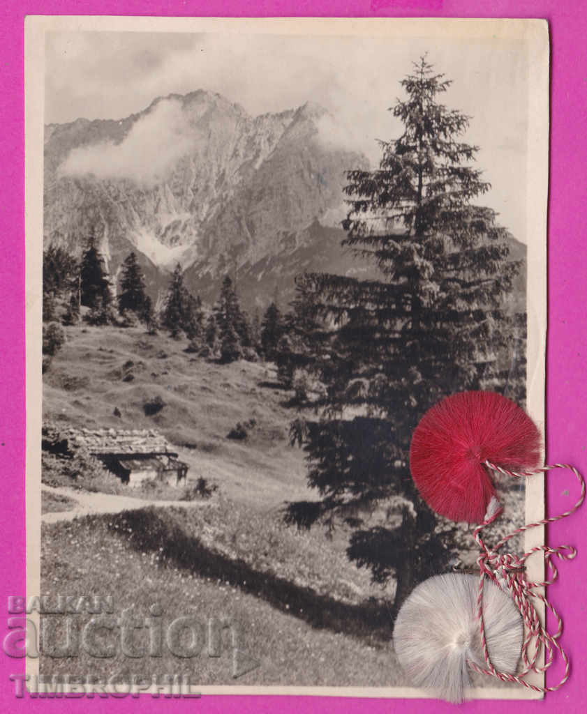 Auction 272708 / Nature - postcard sent from Dupnitsa 1949 Auction 272708 / Nature - postcard sent from Dupnitsa 1949