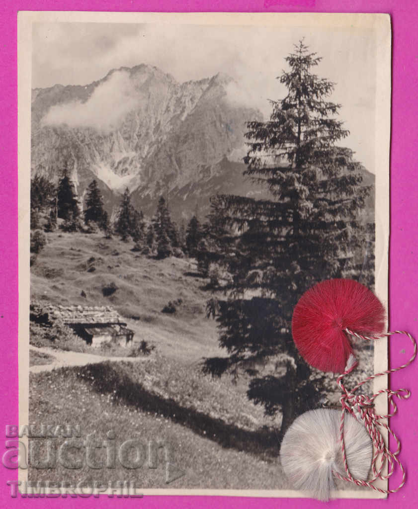 272708 / Nature - postcard sent from Dupnitsa 1949