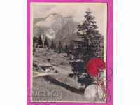 272708 / Nature - postcard sent from Dupnitsa 1949