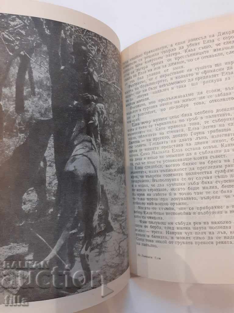 Leoaica Elsa - Joy Adamson - 5