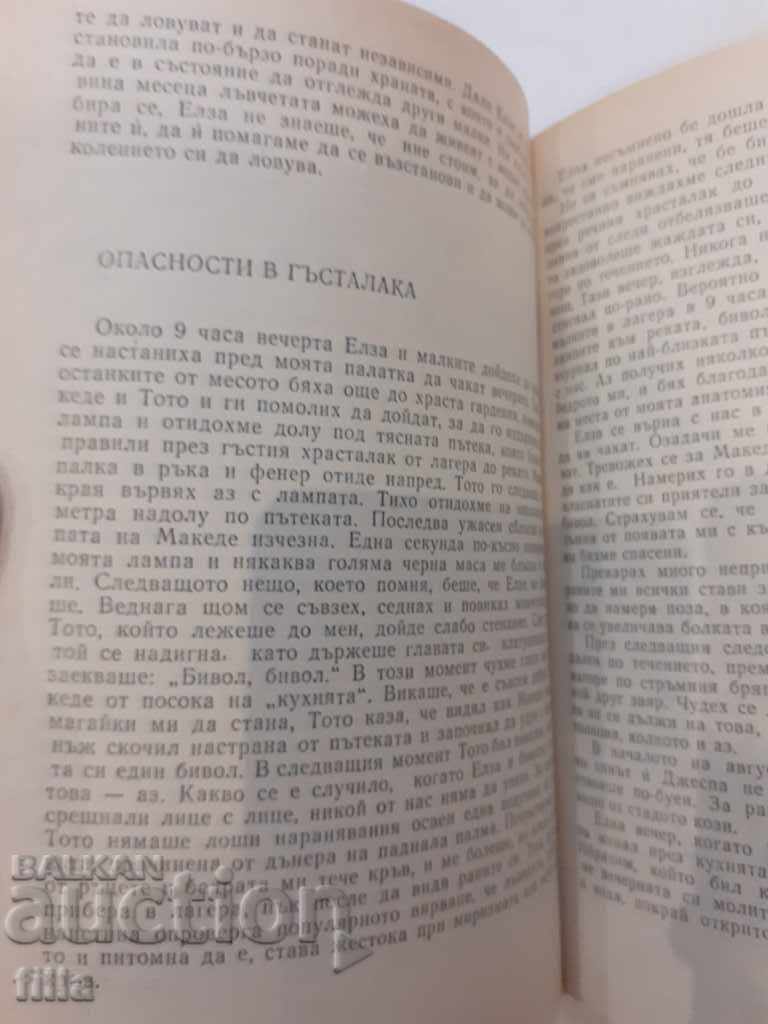 Leoaica Elsa - Joy Adamson - 6