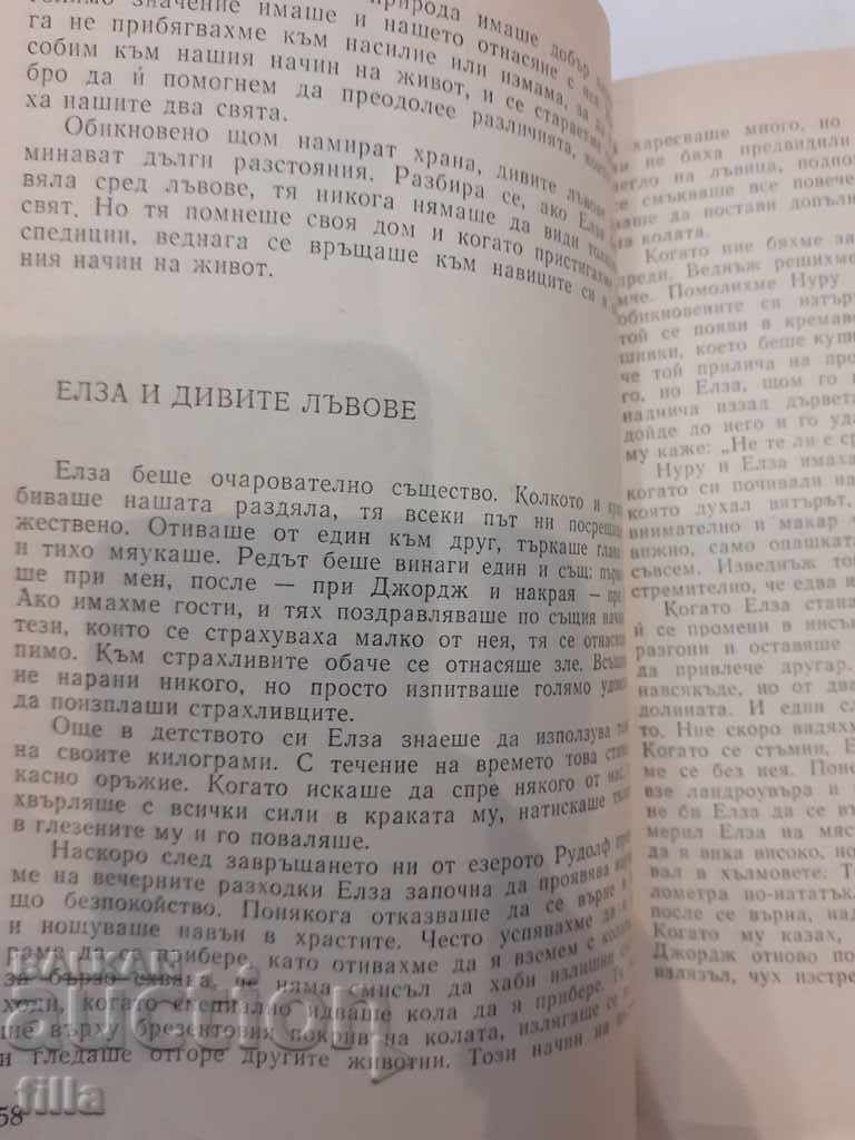 Leoaica Elsa - Joy Adamson - 7