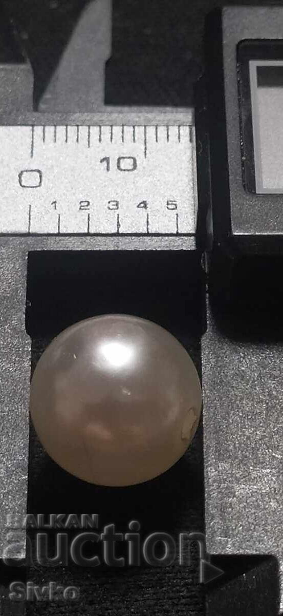 Pearls for Jewelry with price 0.01 BGN | € 0.01