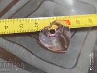 Висулка сърце