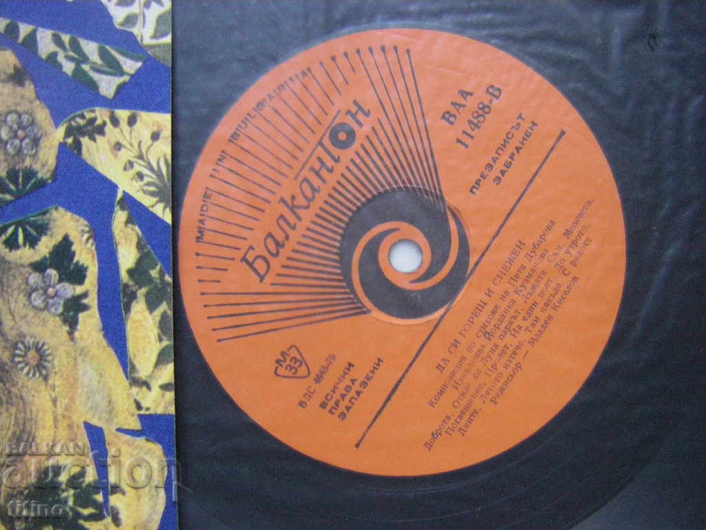 Auction VAA 11488 - Petya Dubarova. To be hot and snowy Auction VAA 11488 - Petya Dubarova. To be hot and snowy