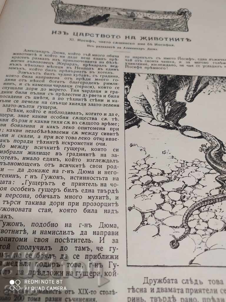 Revista Teenage Art Magazine, ianuarie 1921 - 5 Revista Teenage Art Magazine, ianuarie 1921 - 5