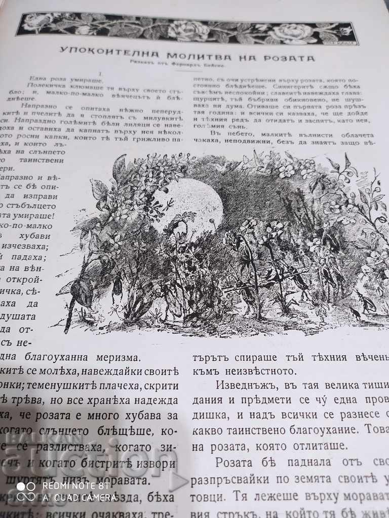 Revista Teenage Art Magazine, ianuarie 1921 - 6 Revista Teenage Art Magazine, ianuarie 1921 - 6