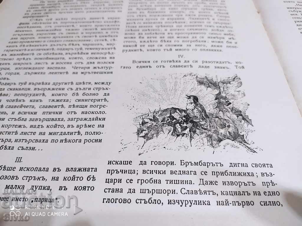 Teenage Art Gallery Magazine, January 1921 - 7 Teenage Art Gallery Magazine, January 1921 - 7