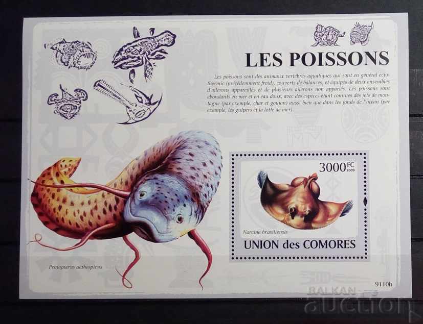 Comore 2009 Fauna / Animale / Bloc de pește 12 € MNH