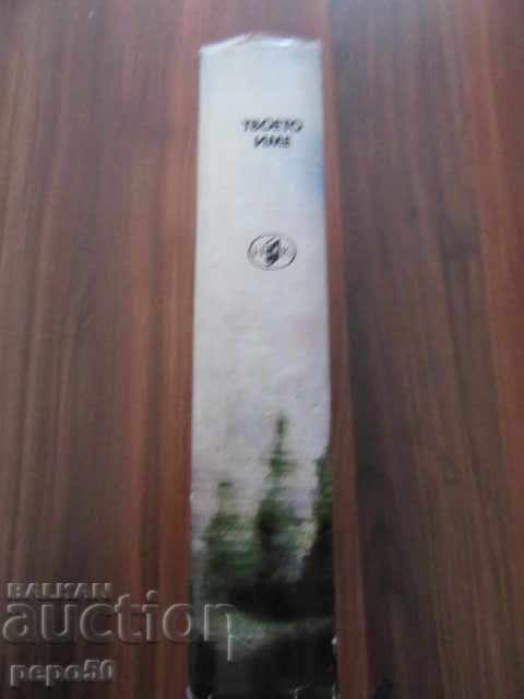 YOUR NAME - Pyotr Proskurin - 1984 - 5