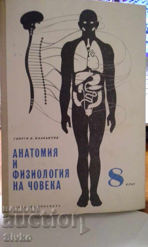 Анатомия и физиология на човека