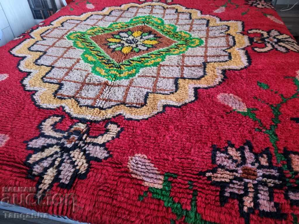 Kitenik with price 120.00 BGN | € 61.36