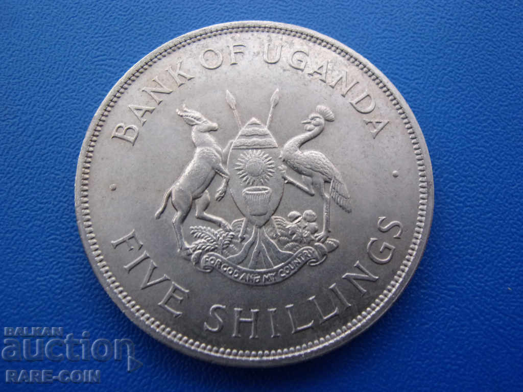 RS (34) Uganda-5 șilingi 1968-FAO-line.BZC cu preț € 10.23 | 20.01 BGN