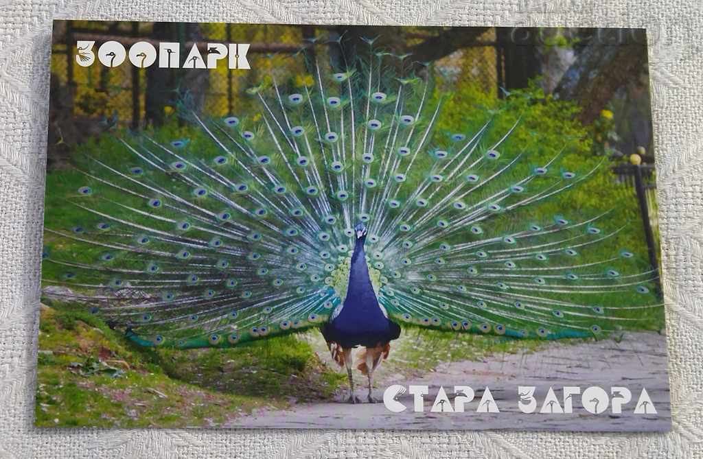 STARA ZAGORA Peacock 2015 P.K.