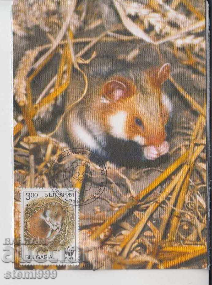 Carte poștală FDC Hamster