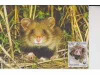 FDC Hamster postcard