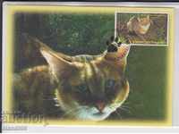 Пощенска картичка FDC Котки Хищници