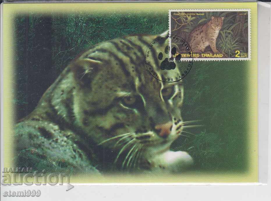 Postcard FDC Cats Predators