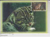 Carte poștală FDC Cats Predators