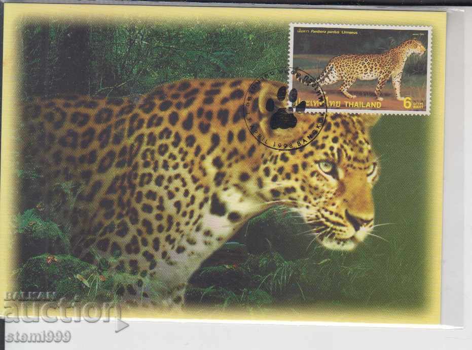 Postcard FDC Cats Predators