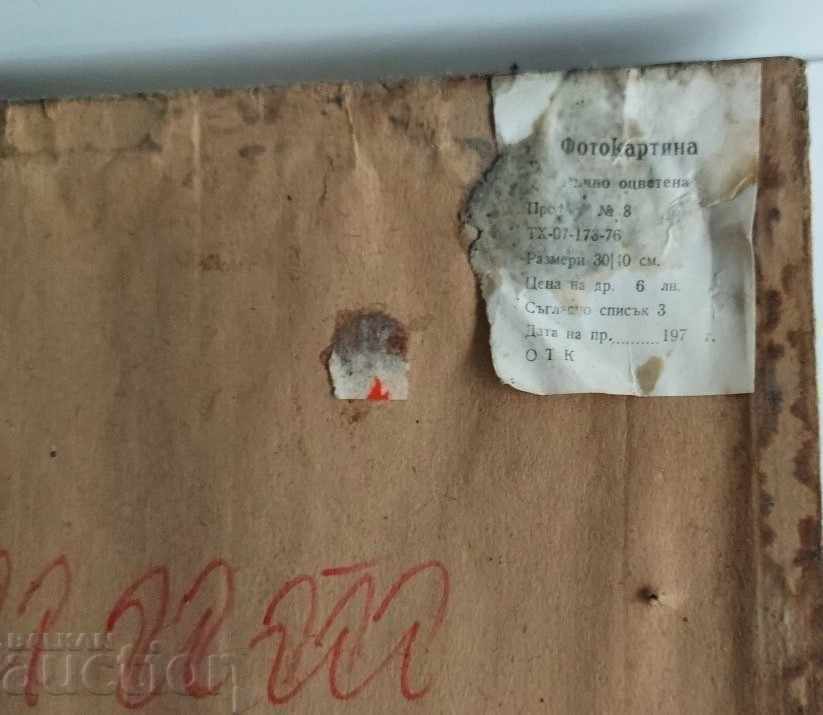 1979 ΔΩΡΟ SOC ΦΩΤΟΓΡΑΦΙΑ ΕΙΚΟΝΑΣ ΚΟΡΝΙΖΑ ΓΥΑΛΙ - 6 1979 ΔΩΡΟ SOC ΦΩΤΟΓΡΑΦΙΑ ΕΙΚΟΝΑΣ ΚΟΡΝΙΖΑ ΓΥΑΛΙ - 6