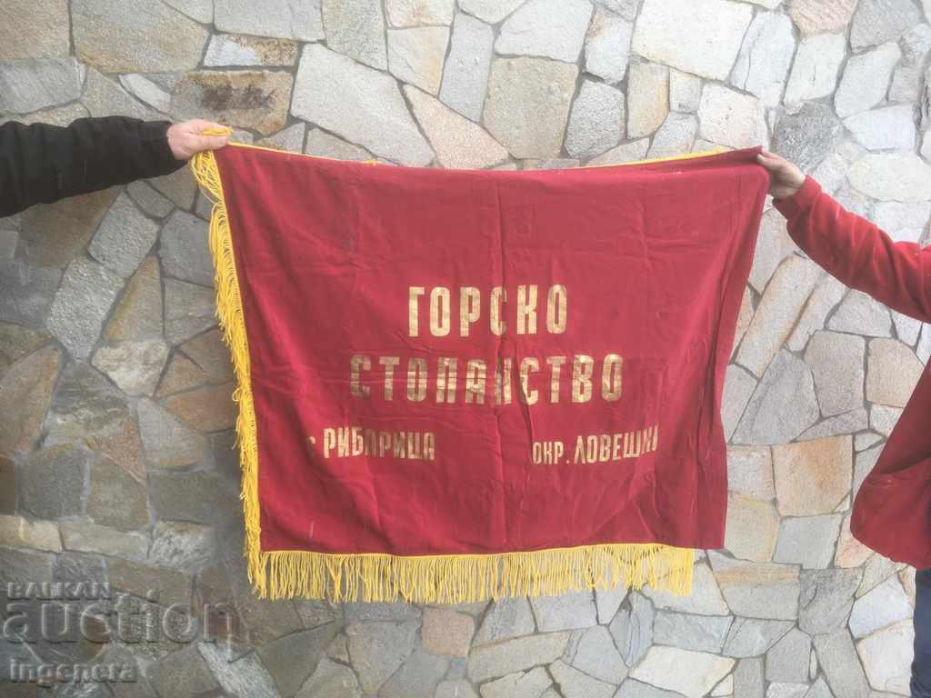 Livrarea STRAPUL SOCIALISMULUI STRAPUL SINGUR CONSERVAT 100X80 CM MATASEA Livrarea STRAPUL SOCIALISMULUI STRAPUL SINGUR CONSERVAT 100X80 CM MATASEA