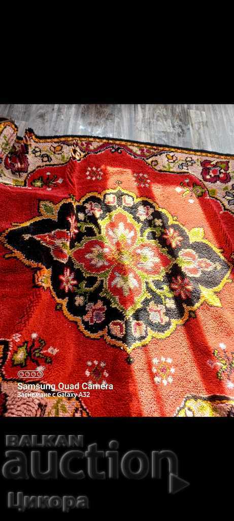 Kitenik carpet cover