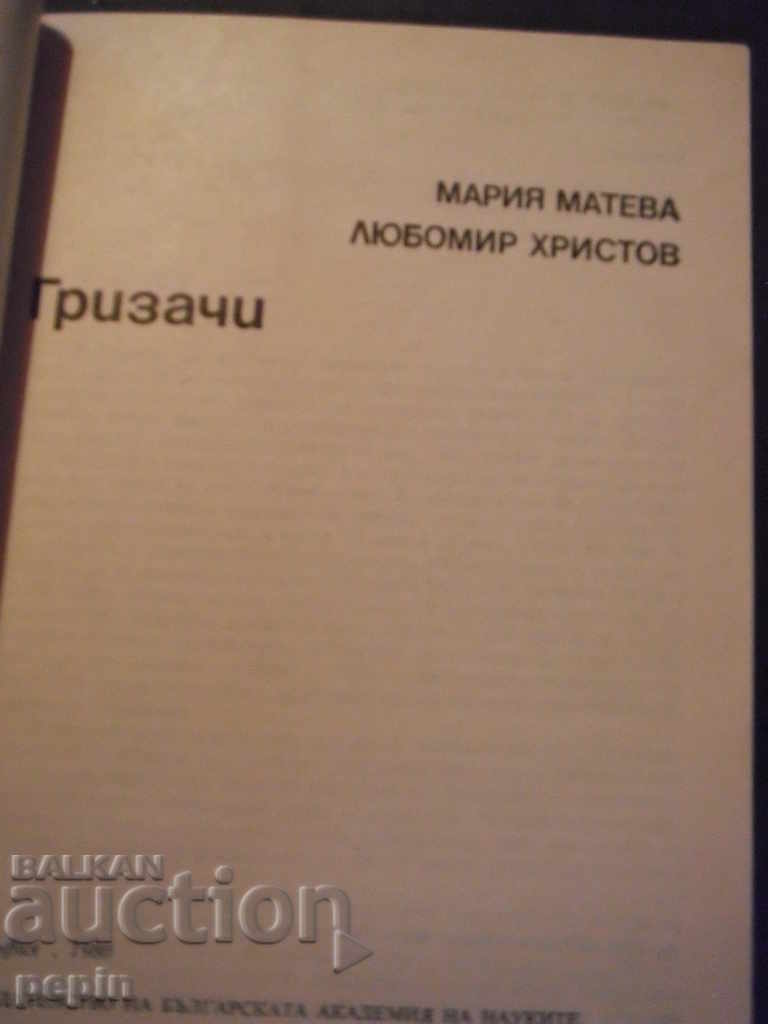 Rodents with price 5.00 BGN | € 2.56 Rodents with price 5.00 BGN | € 2.56