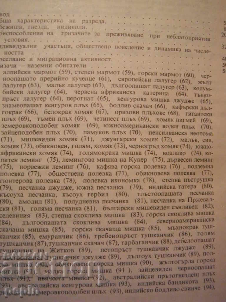 Rodents - 5 Rodents - 5